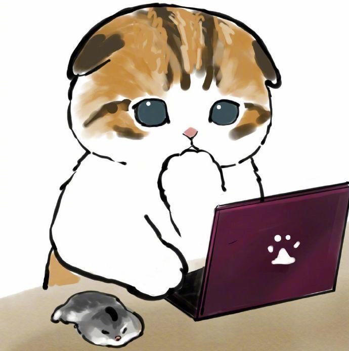 下_小白520