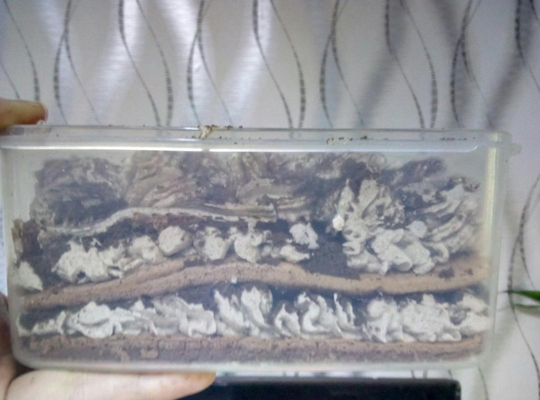 好吃到流泪的奥利奥咸奶油盒子蛋糕