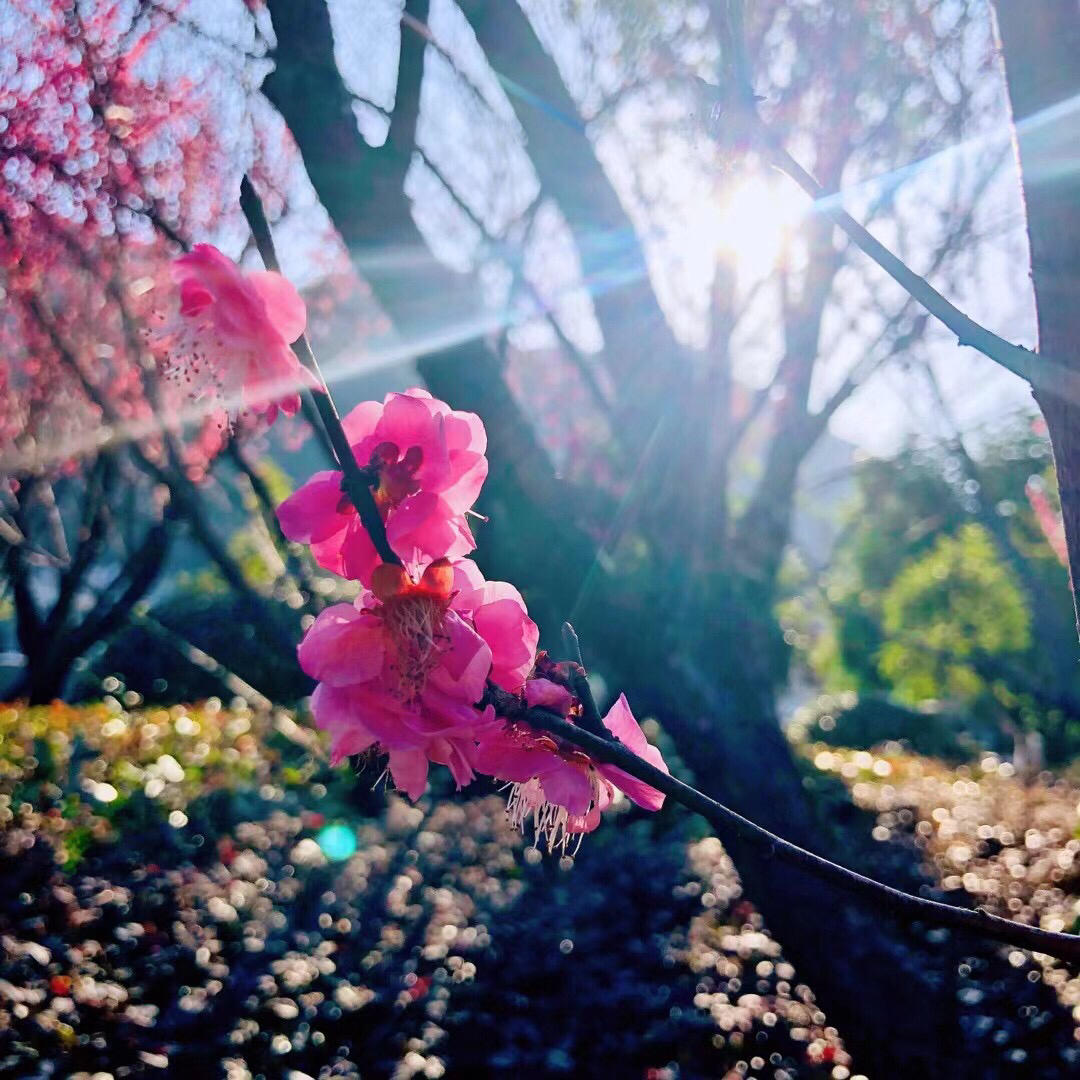 美好食光guan的厨房