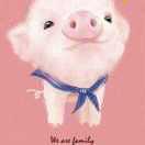 琴妹纸的小豆芽