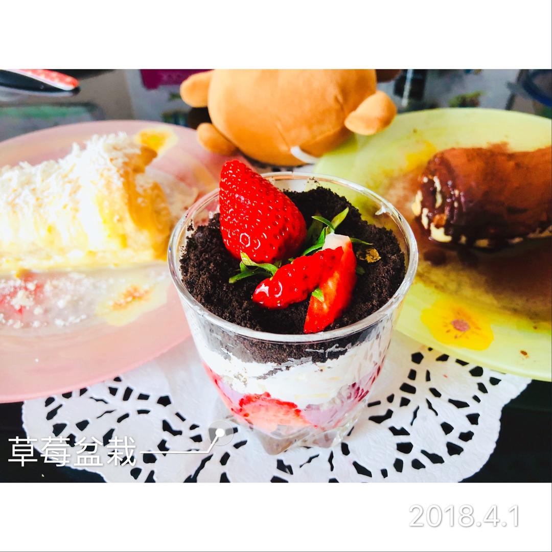 草莓🍓盆栽