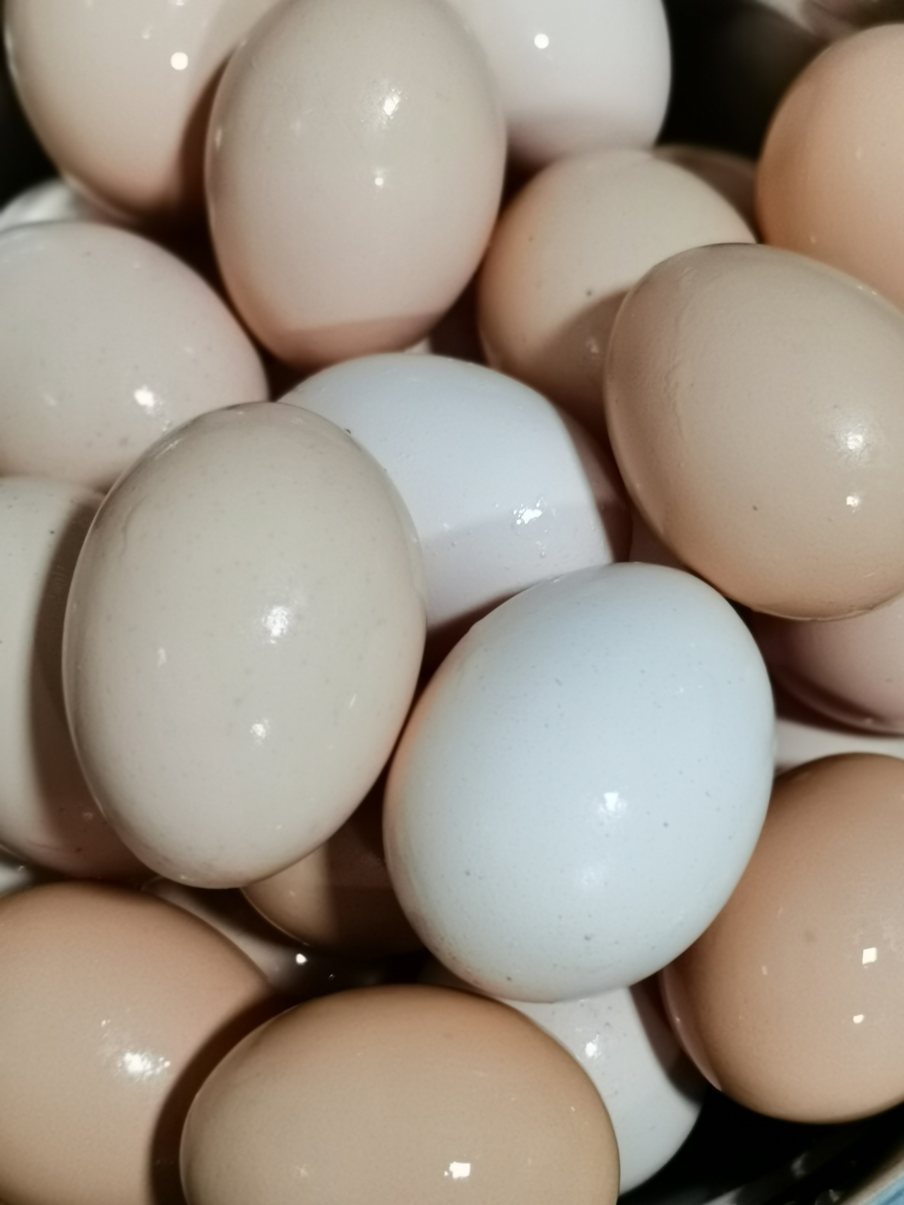 盐焗鸡蛋的做法 步骤1