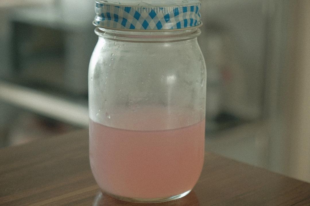 野生酵母之洋葱酵母