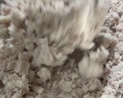 传统芋泥的做法 步骤6