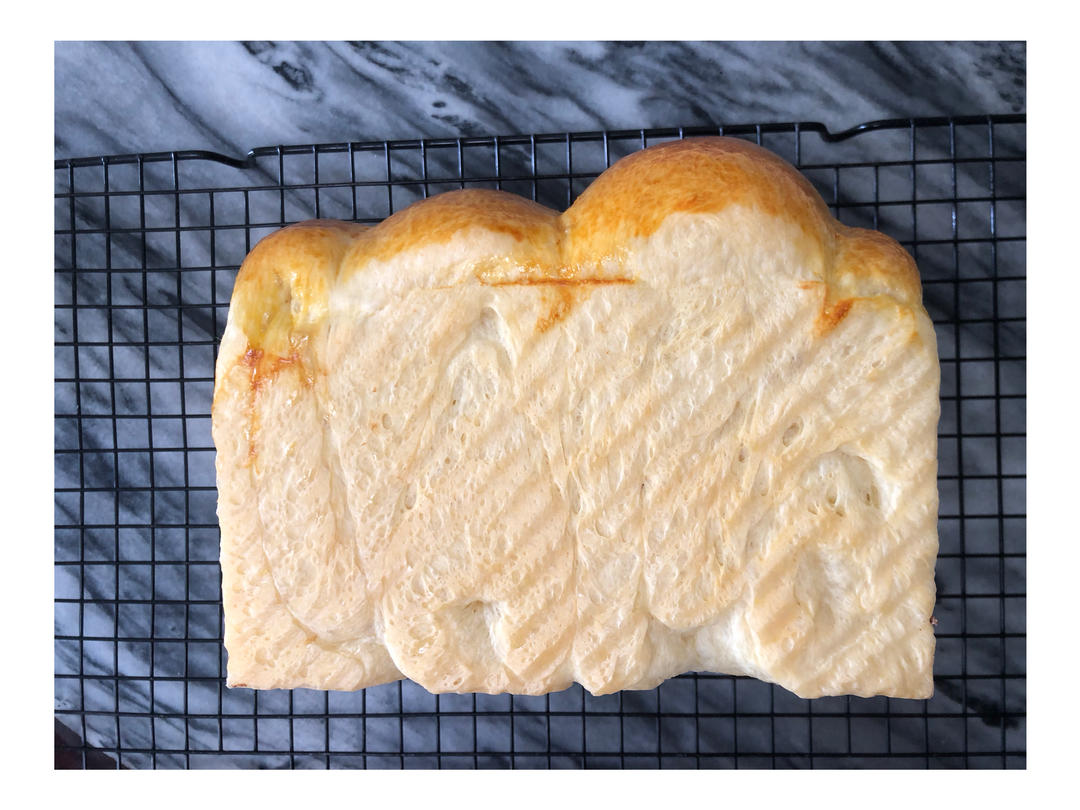 波兰种椰香吐司｜柔软拉丝巨好吃❗️❗️❗️