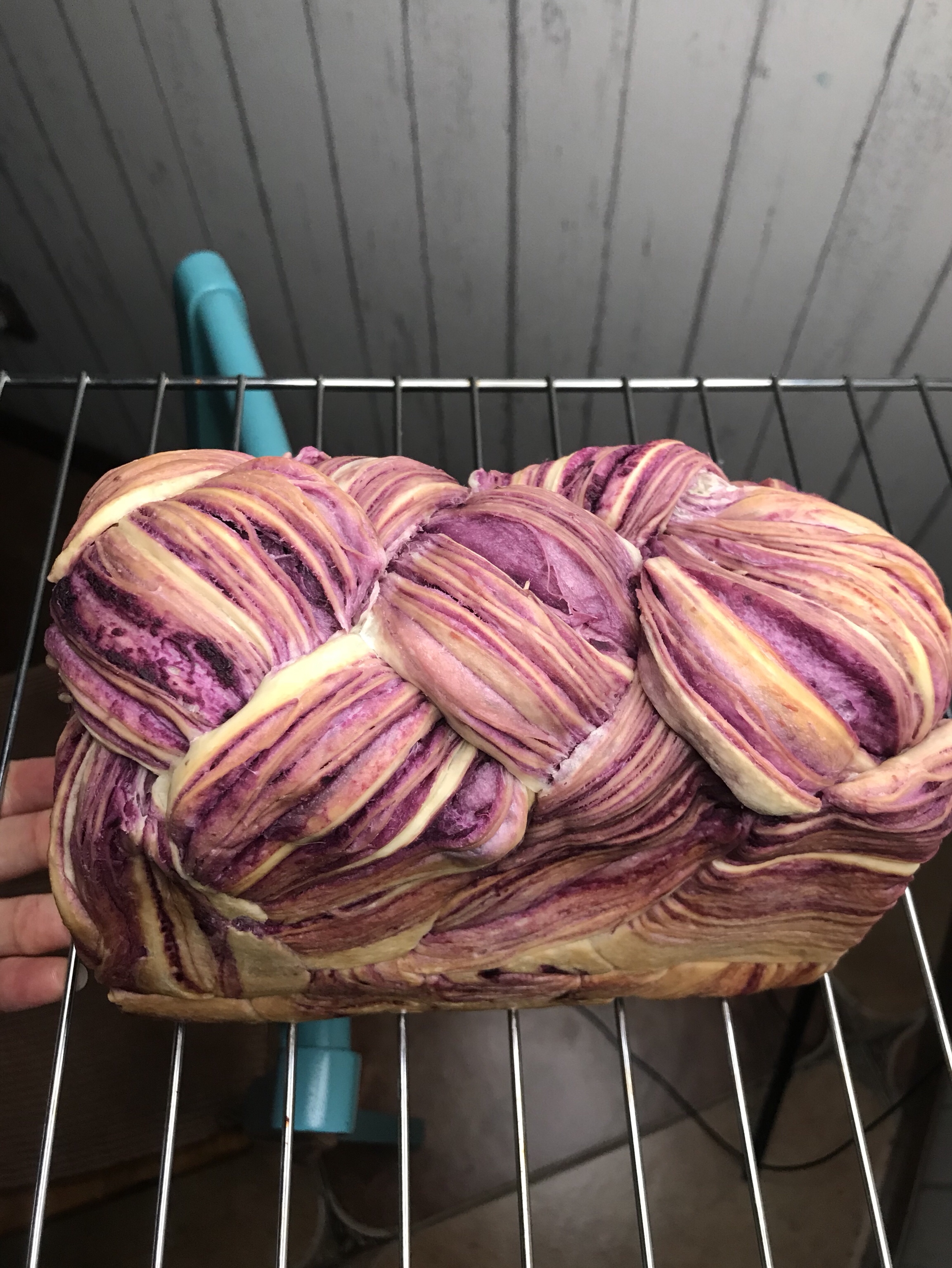 麻花辫子造型                       手撕紫薯吐司