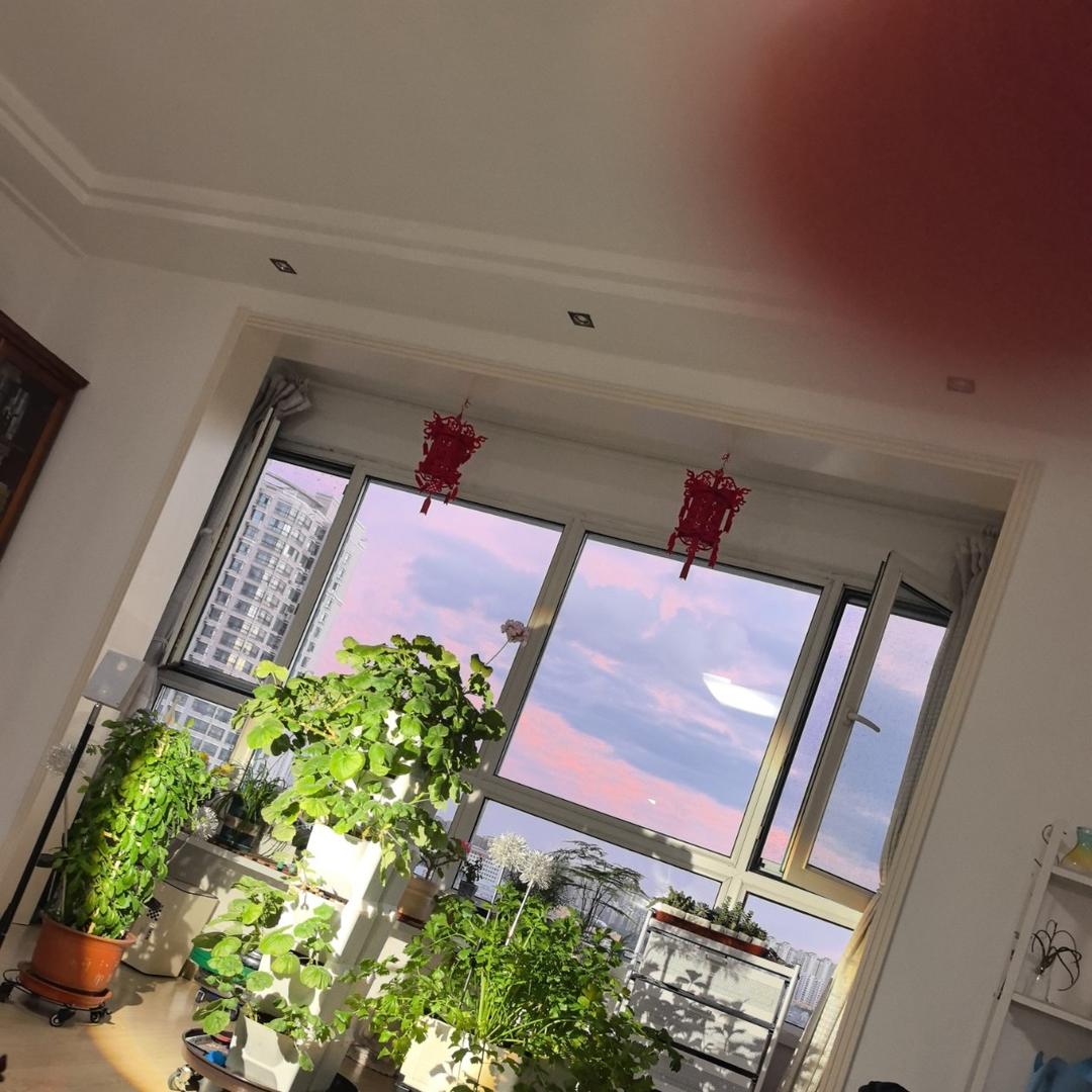 香菇滑鸡腿的做法