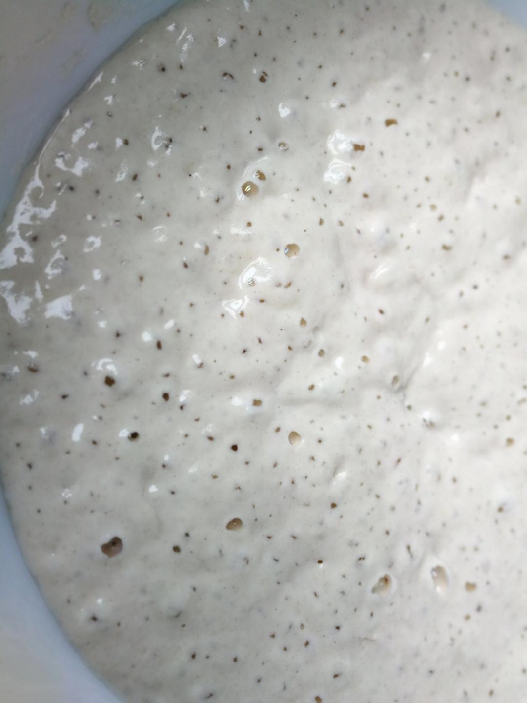 全麦核桃蔓越莓欧包（附整形详细手法）