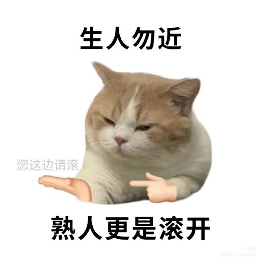 除夕学做饭