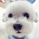 田喜ME