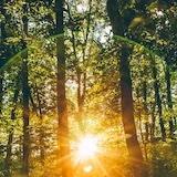 手机用户5502_dxmy