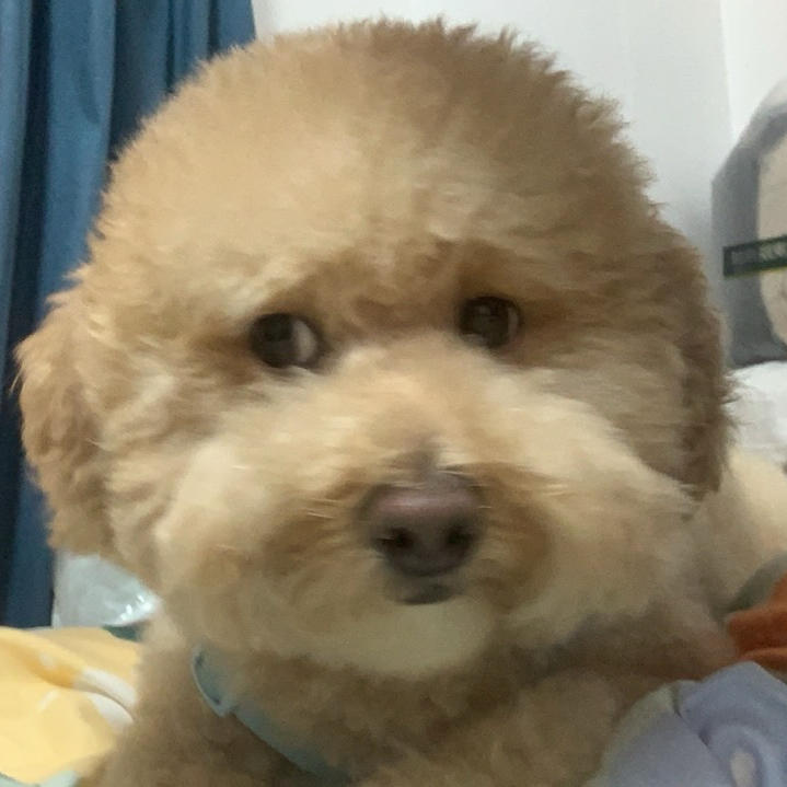 嘴里有颗牙嘴很突出