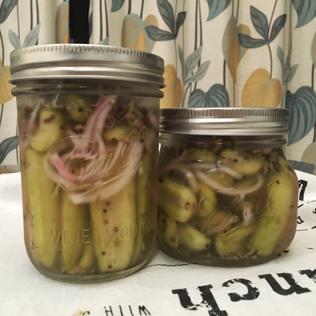 俄式酸黄瓜