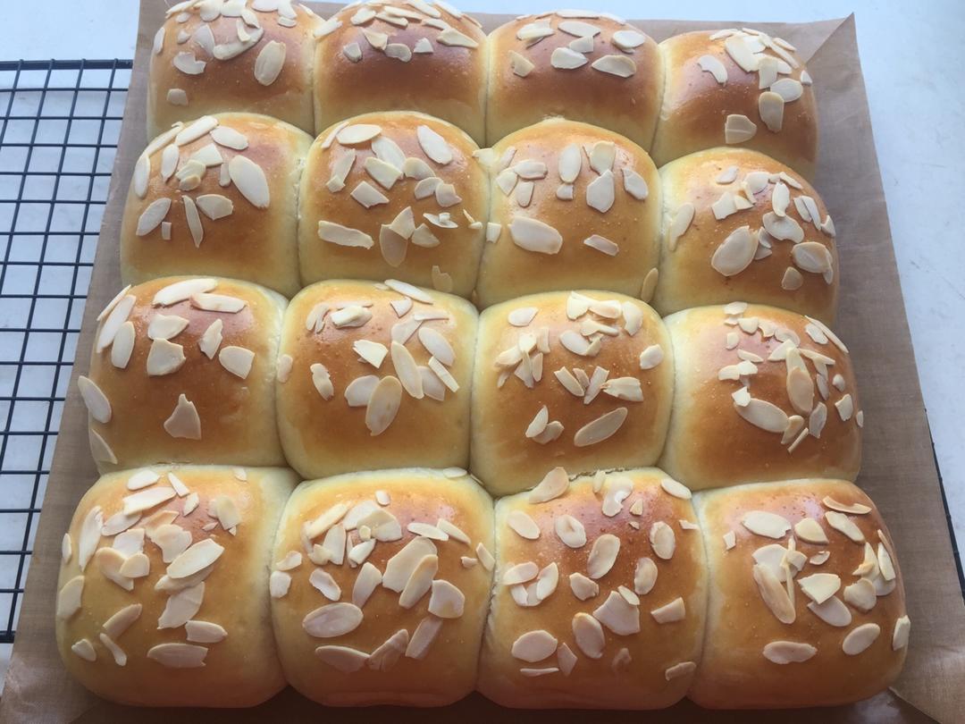 鲜奶油小餐包（一次发酵）