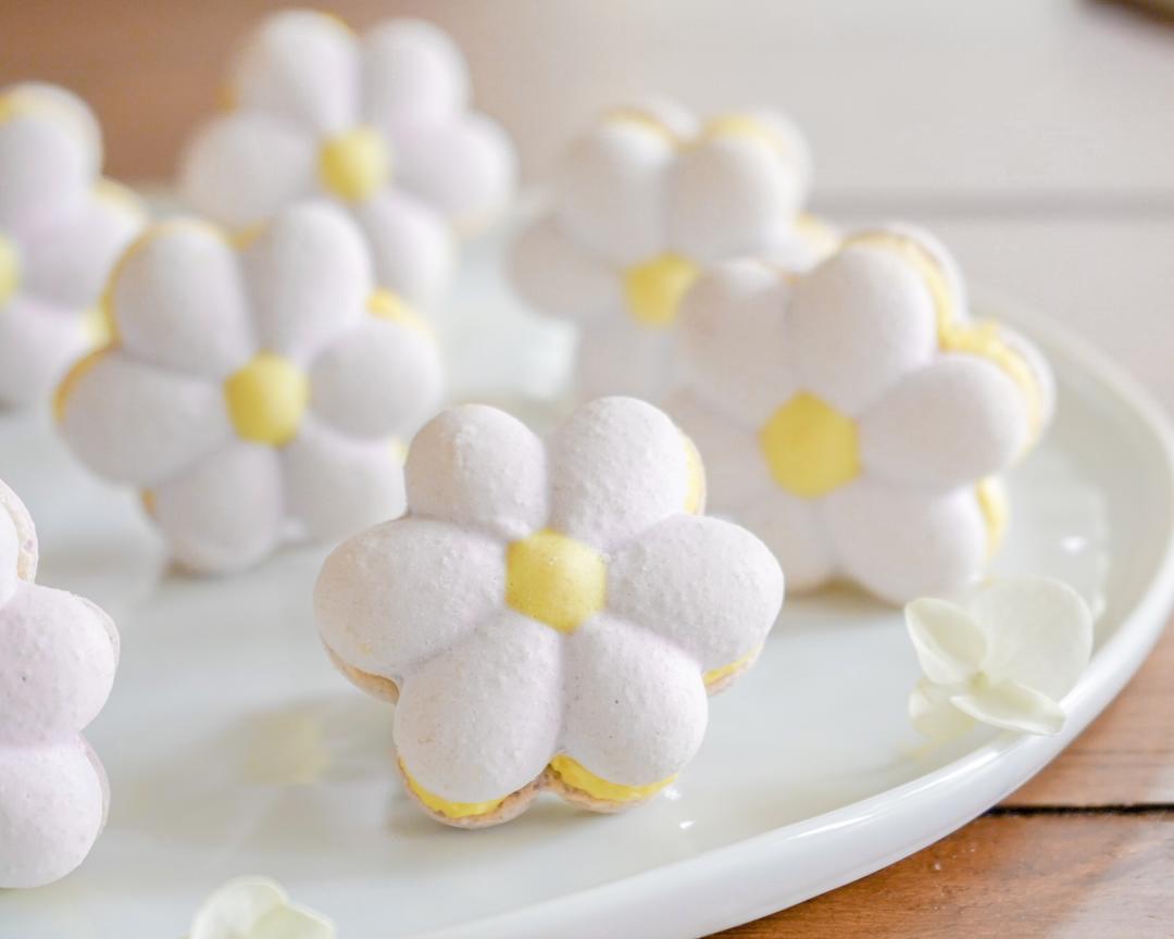 马卡龙教程｜为夏天而生的小雏菊🌼的做法