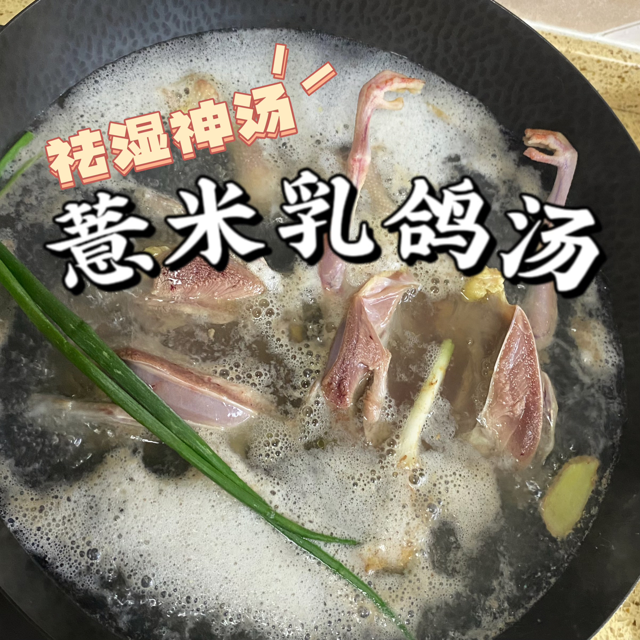 清明谷雨菜：薏米老鸽汤