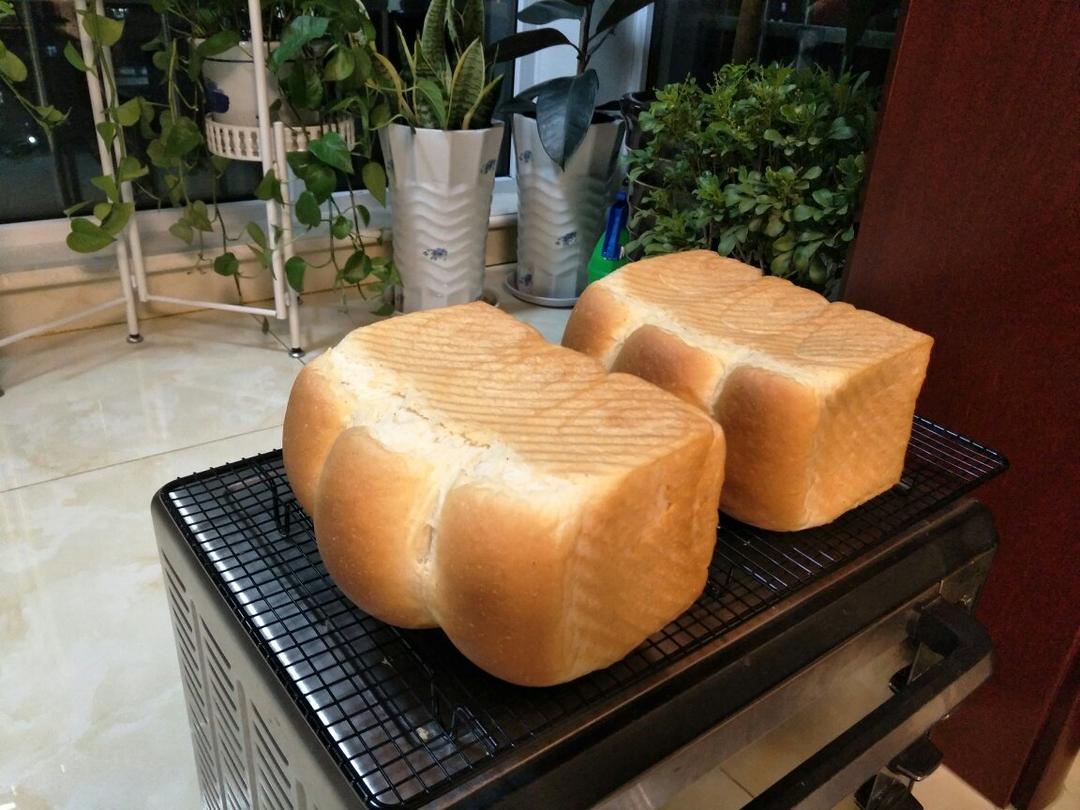 70%中种牛奶吐司