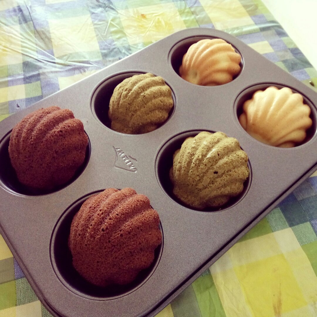 三种颜色玛德琳—抹茶 可可 原味贝壳蛋糕