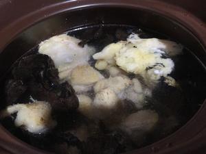 虎掌菌海底椰炖鸡汤的做法 步骤12