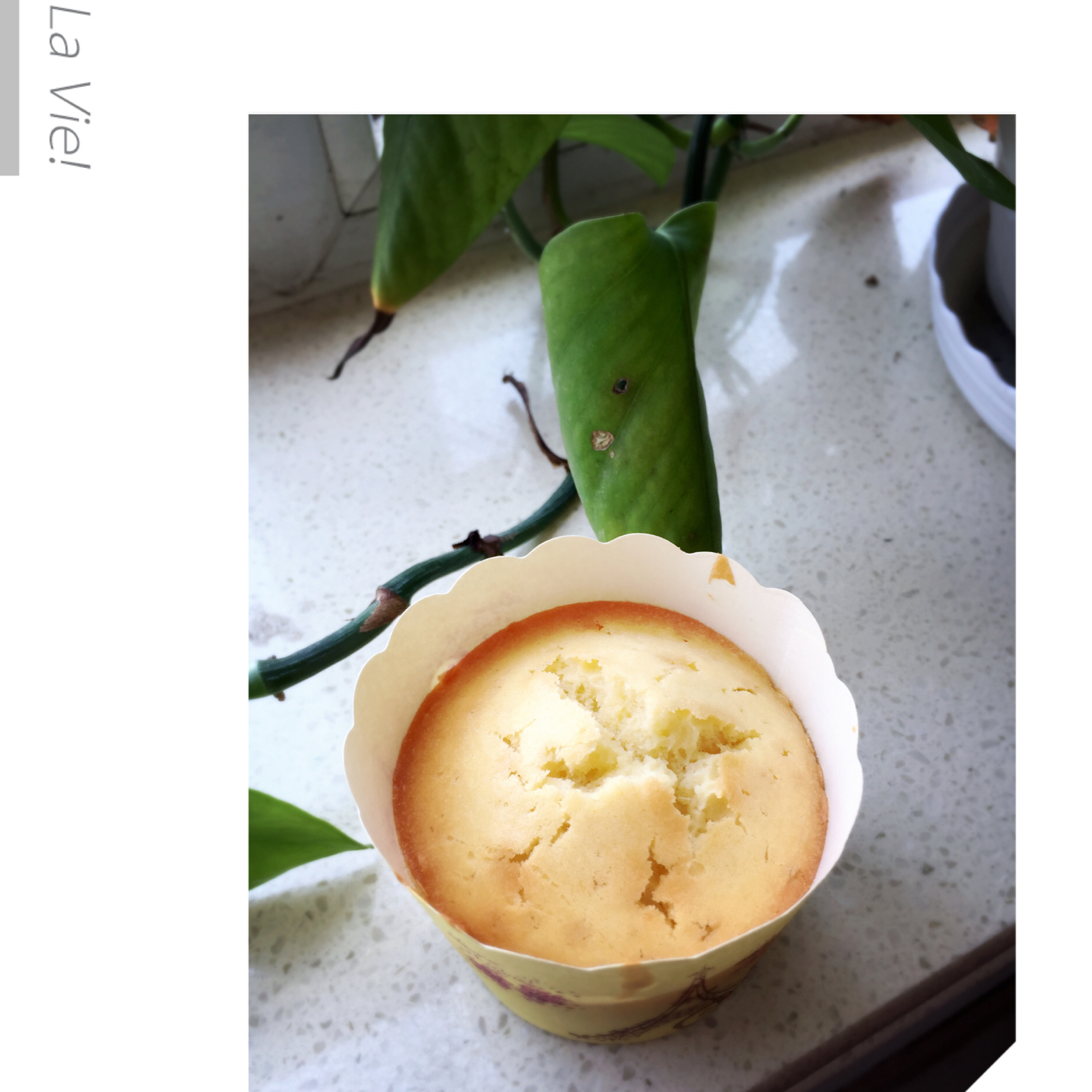 马芬蛋糕（基本拌和法）