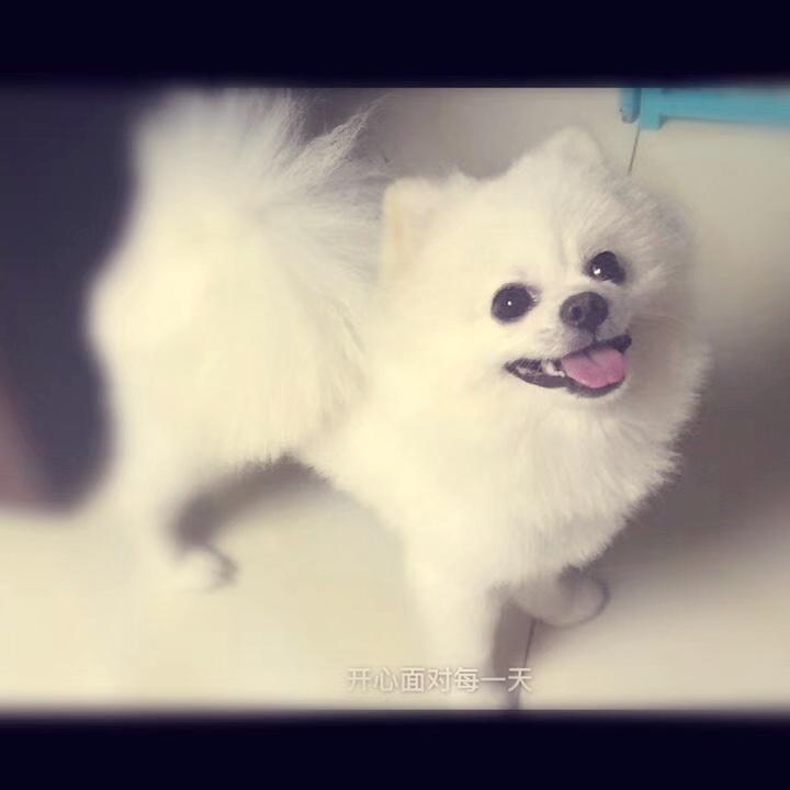 爱折腾的安宝麻麻