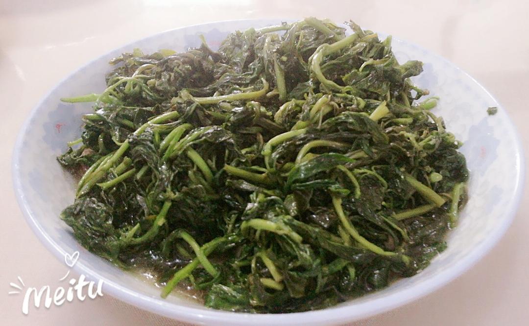 清炒枸杞头