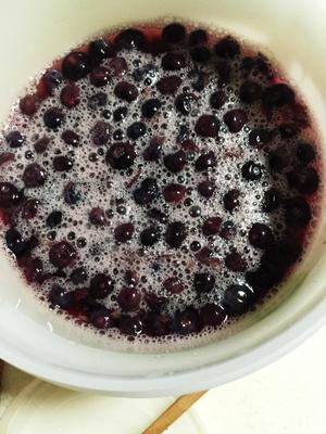 蓝莓鲜酿酵素的做法 步骤9
