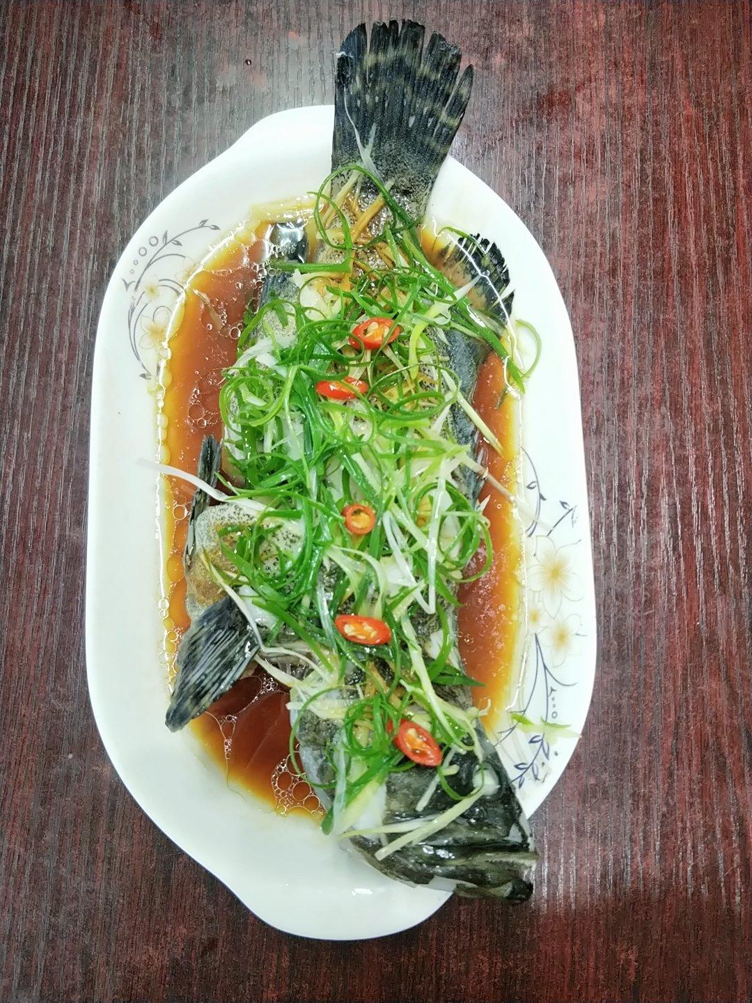 清蒸鱼（鲈鱼/多宝鱼/桂花鱼/石斑鱼……）