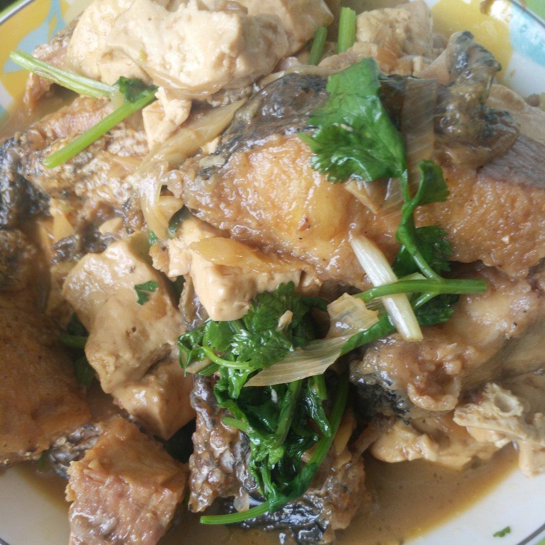 鱼炖豆腐