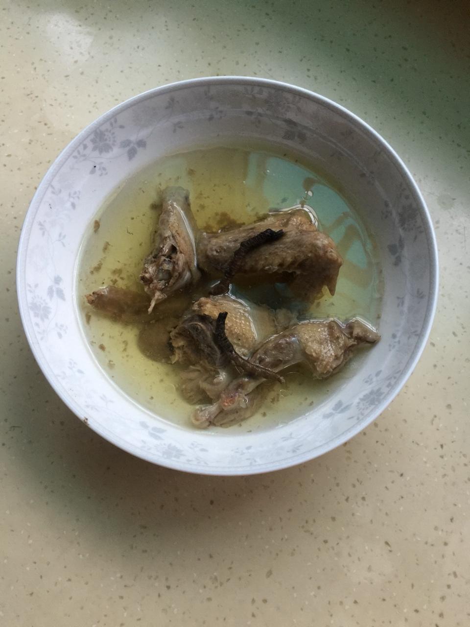 乳鸽冬虫草炖汤