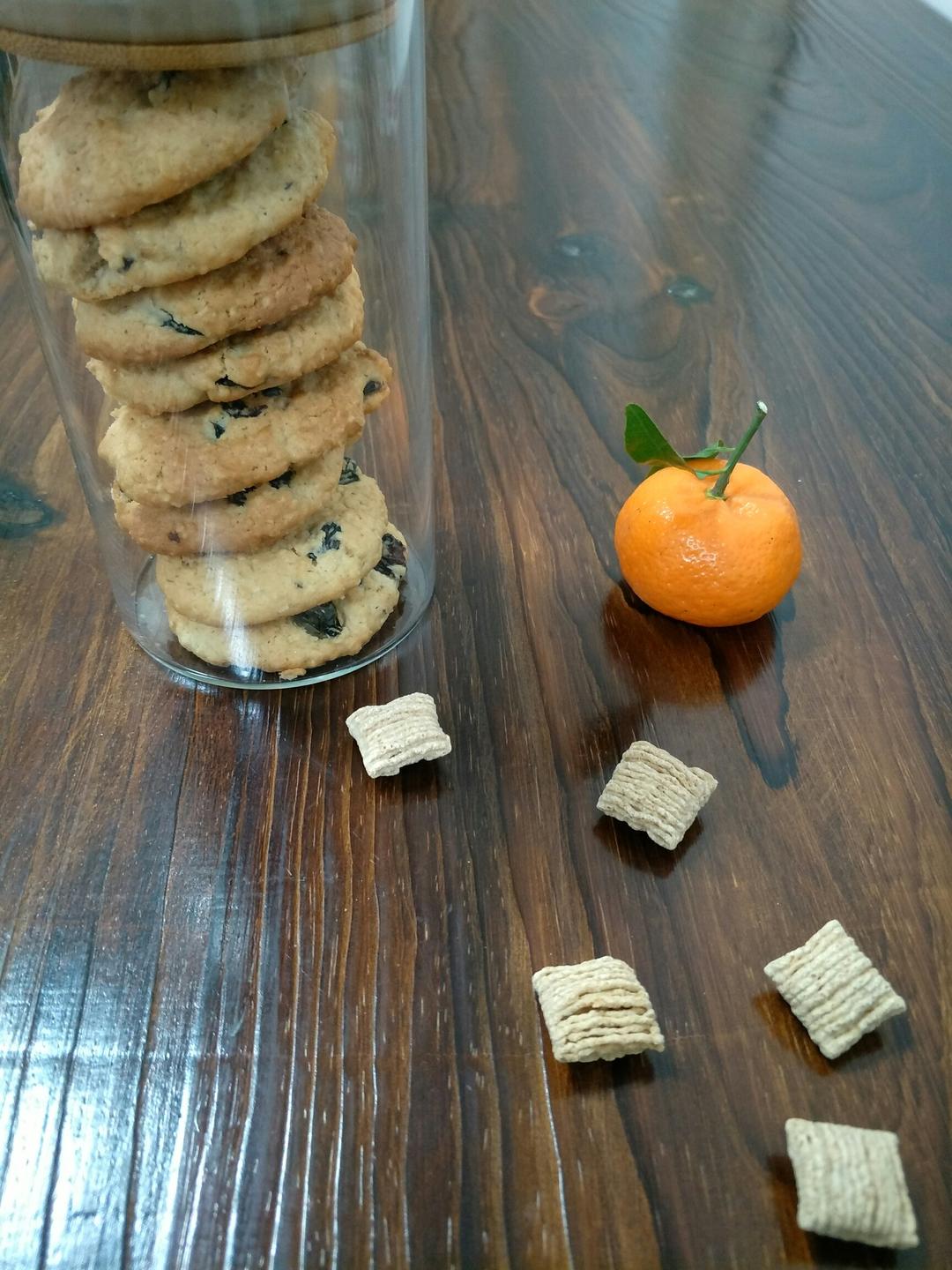 葡萄干麦片曲奇 Oats Cookies