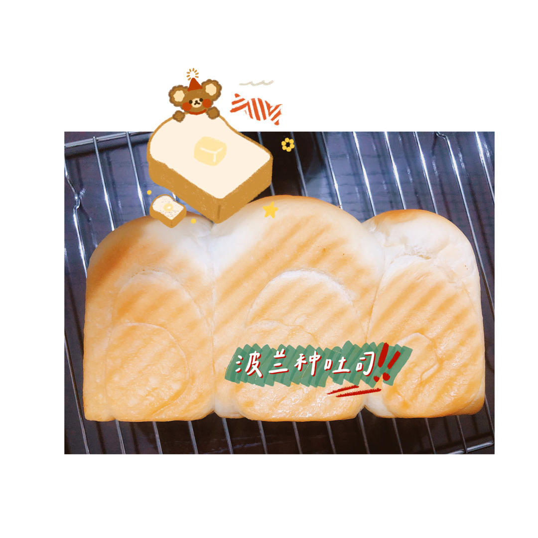 200%波兰种一夜熟成醇奶吐司