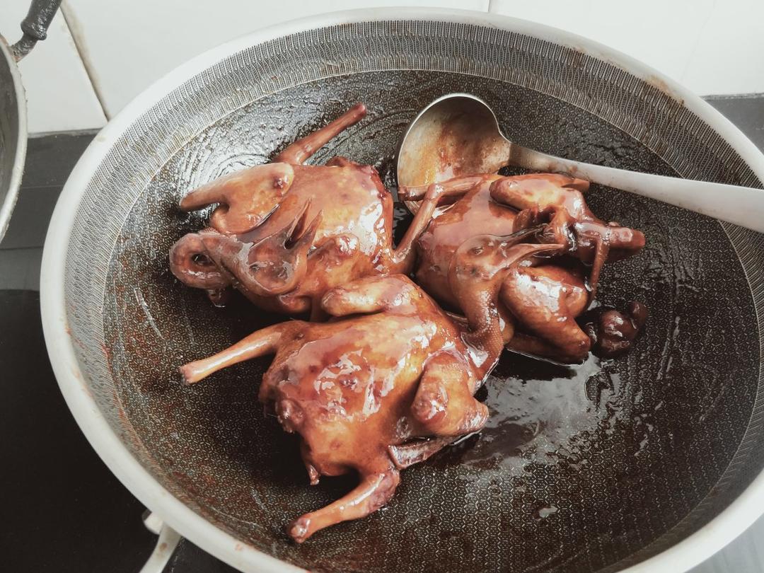 四杯鸽子