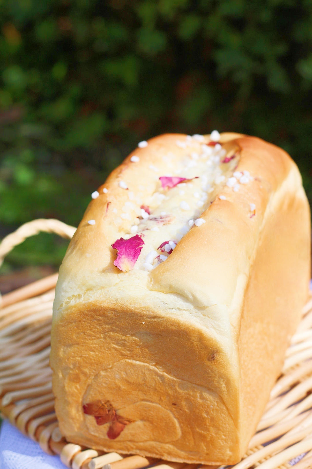 一次发酵/玫瑰云朵吐司