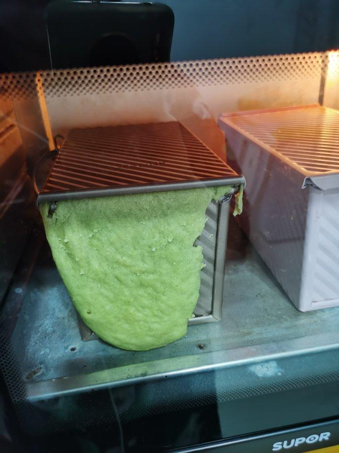 波兰种斑斓吐司 香兰叶牛奶面包 Pandan Bread