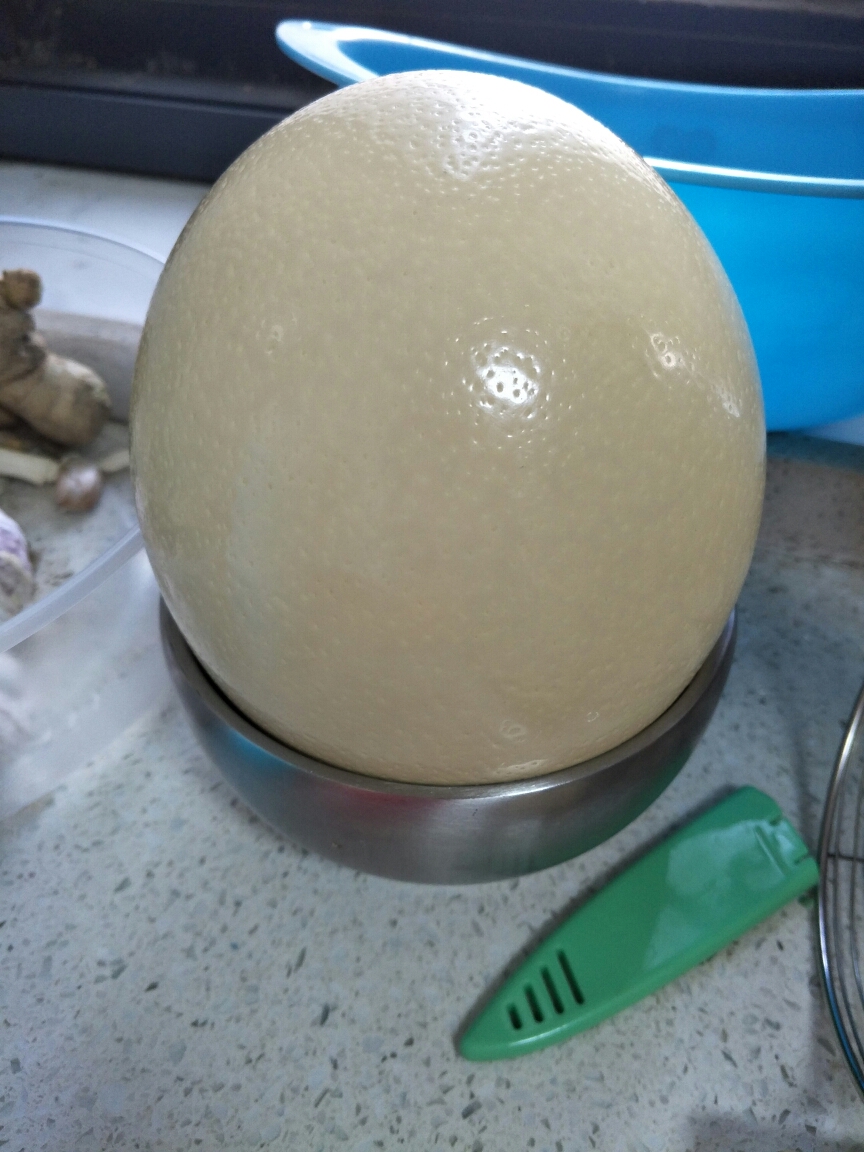 炒鸵鸟蛋的做法 步骤1