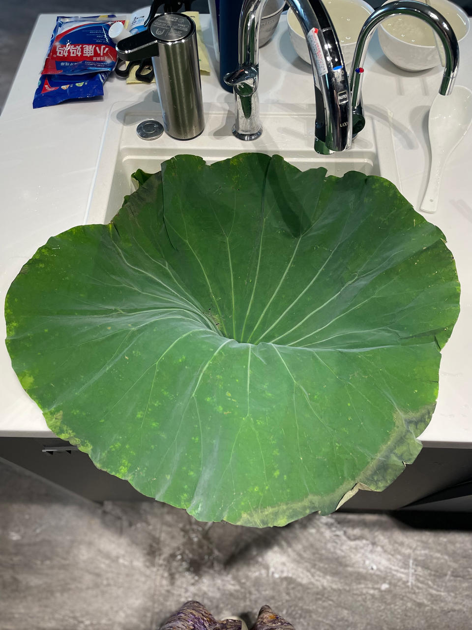 夏日荷叶饭