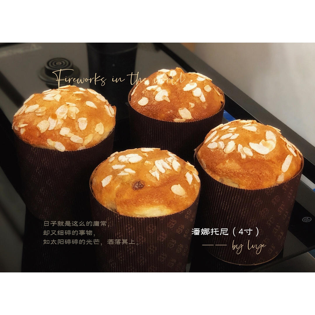潘娜托尼 圣诞面包           Panettone（中种法）