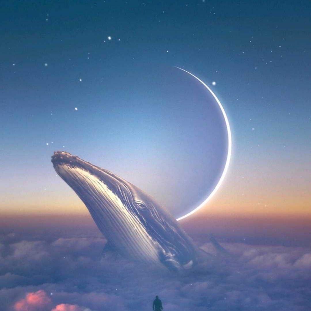 疯舞者
