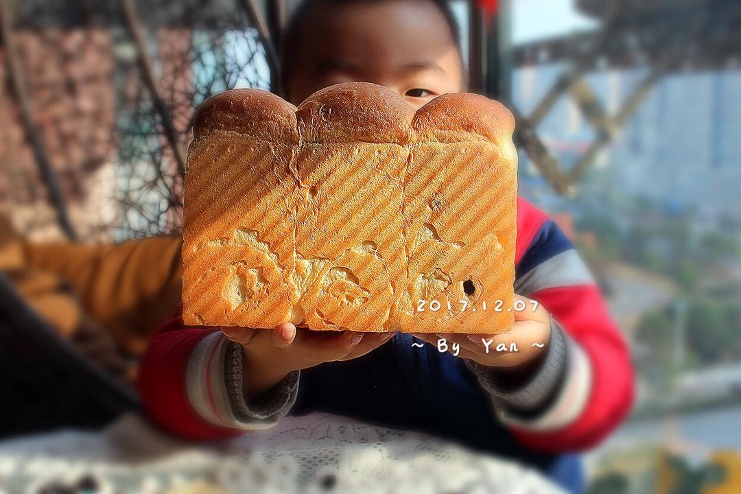 港式吐司～中种