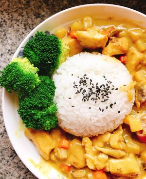 日式家庭版咖喱鸡饭的做法 步骤7