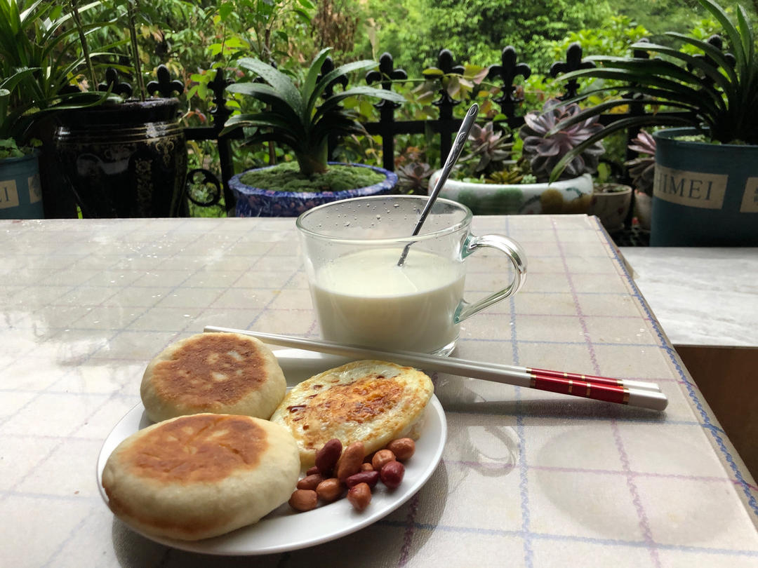 大葱猪肉馅饼（发面）