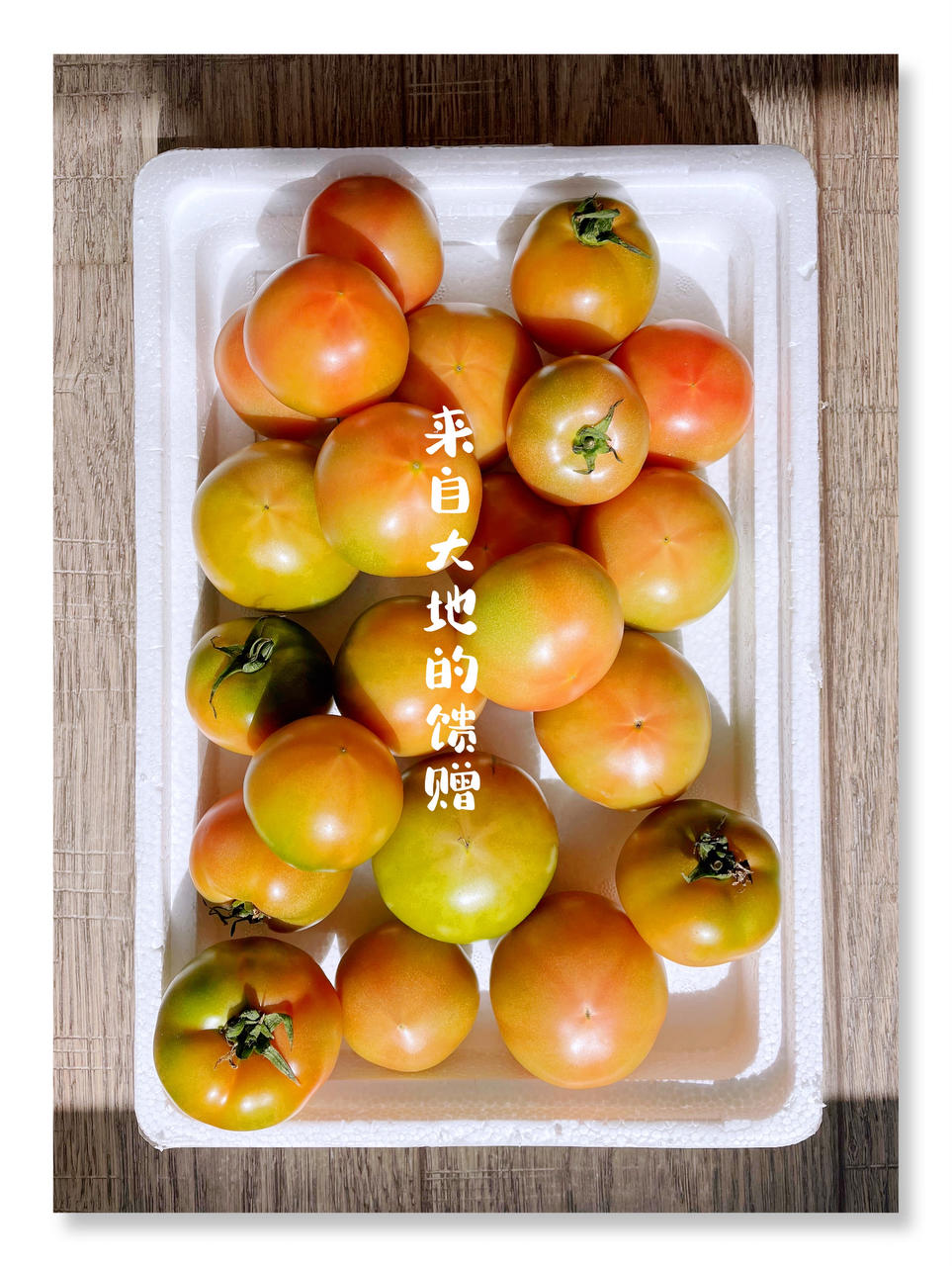 瑞利山和瑞丽安的食堂