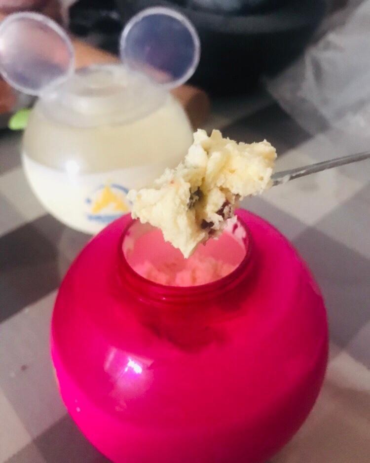 朗姆黑加仑冰淇淋 Rum Raisin Ice cream
