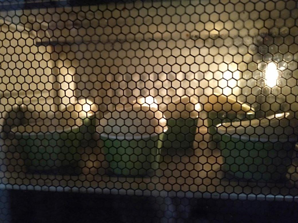 外酥里糯❗️巨好吃的粑粑糕❗️零失败❗️