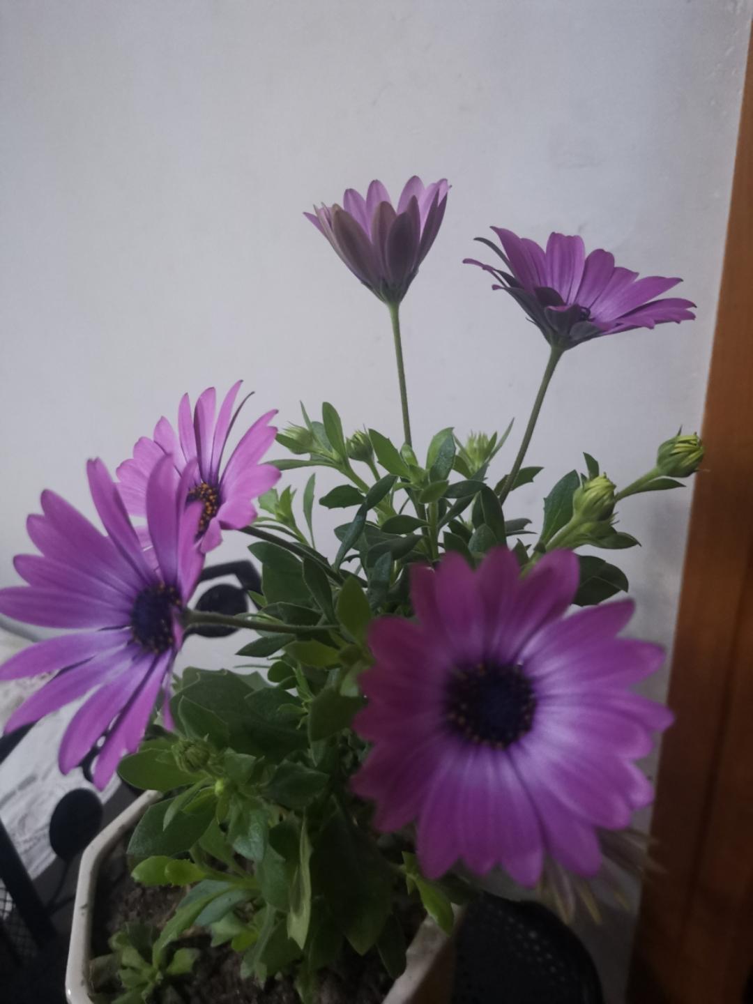 明天会早睡
