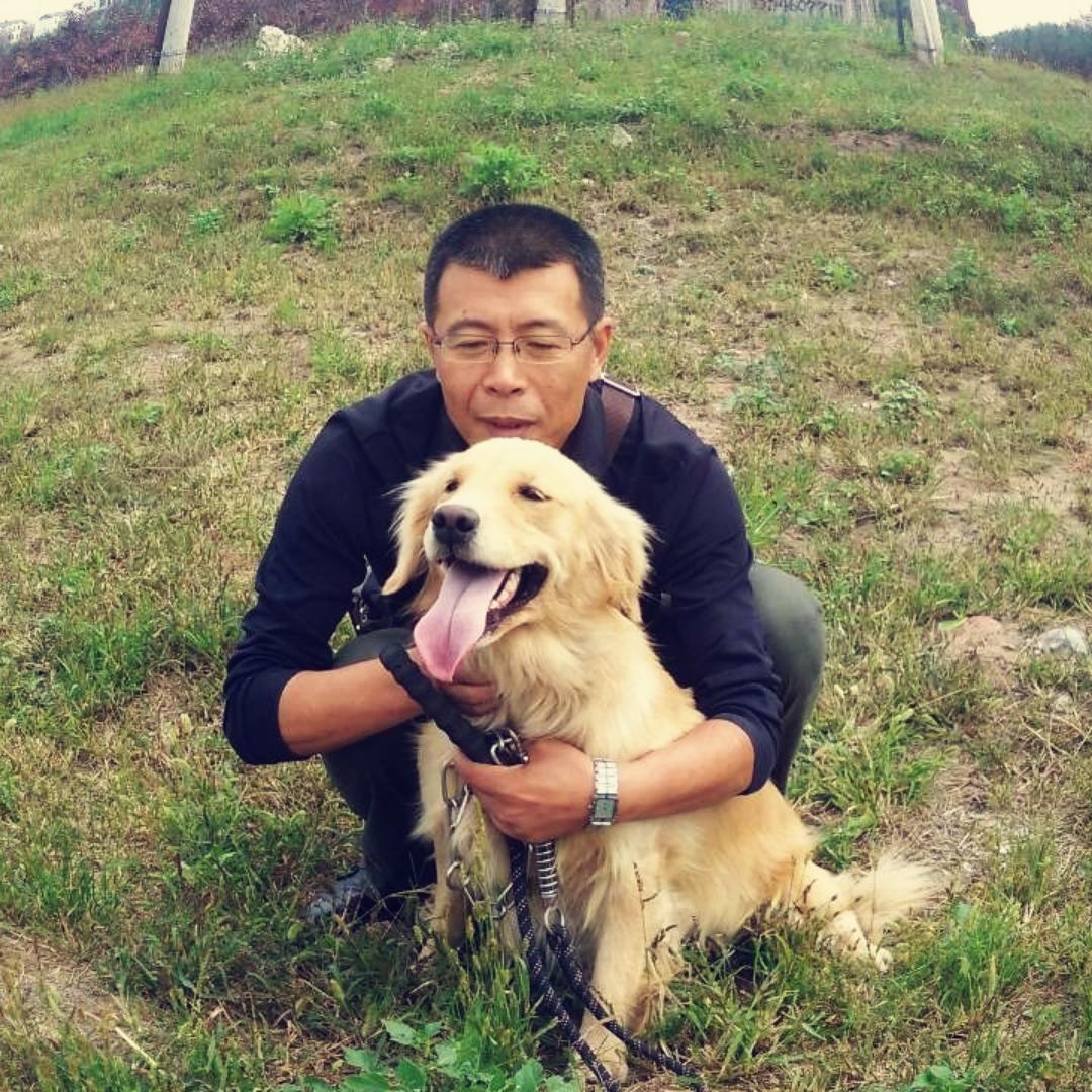 笨骆驼