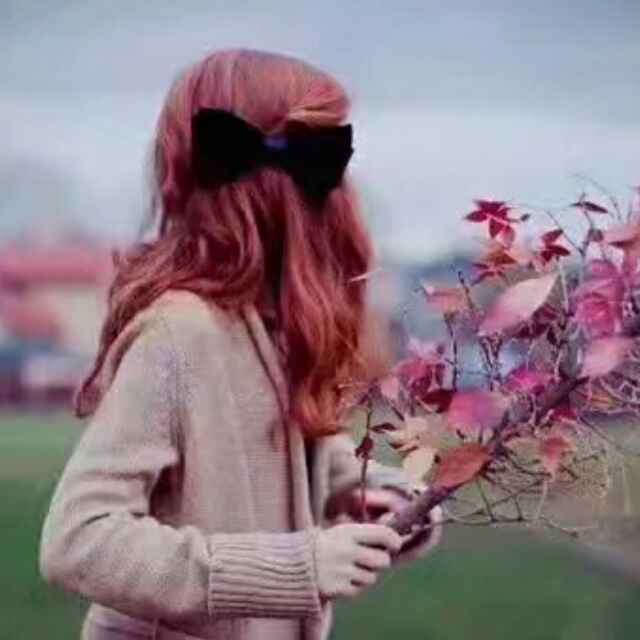 零智商女子