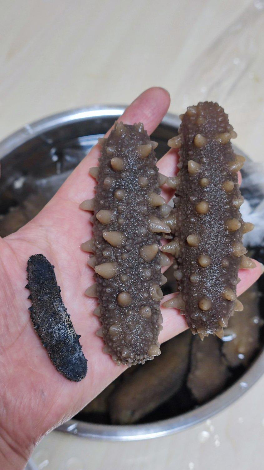 泡发海参的方法
