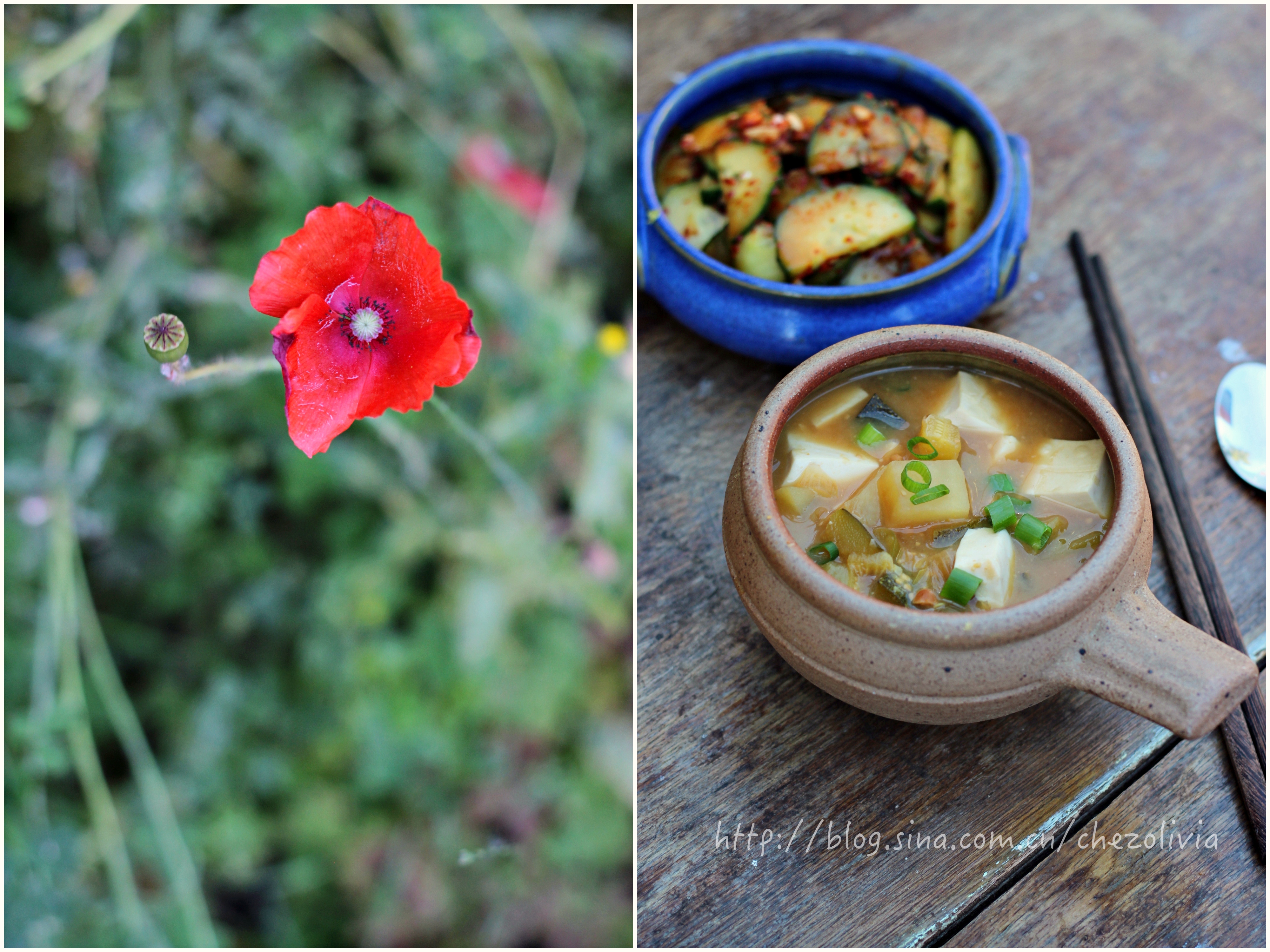 正宗的韩式大酱汤/Korean soybean paste stew
